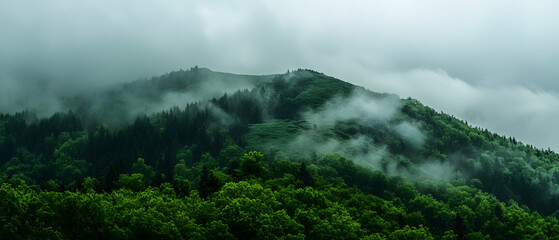 Obraz premium Green mountain landscape shrouded in clouds on an overcast day - 