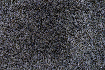 cement texture background
