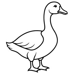 Graceful Goose Linework