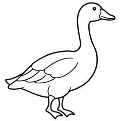 Graceful Goose Linework