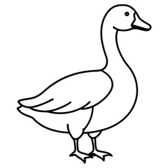 Graceful Goose Linework