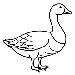 Graceful Goose Linework