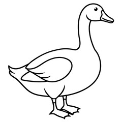 Graceful Goose Linework