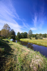 Serene Riverbank Scene with Lush Greenery