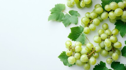 Obraz premium Green grapes with leaves on white background.