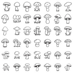 Obraz premium Mushroom Icon set vector art and illustration vintage style