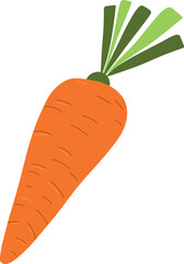 Fresh, vibrant orange carrot with a smooth texture and green leafy top. Perfect for healthy eating, cooking, and organic food concepts. Isolated on a white background for easy use in designs.