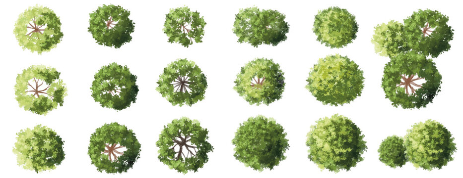 Vertor set of green tree,plants top view for landscape plan,schematic layout,eco environment concept design,watercolor greenery illustration