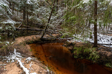 winter landscape with forest, magical snow-covered trees, small, wild river with many bends, many fallen trees over the river