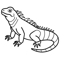 Iguana Silhouette Art