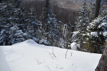 Mont Chapman 22 Février 2025