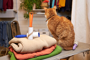 a ginger cat sits on the ironing board next to the clothes, the concept of animal hair on the...
