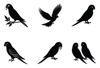 Collection of birds silhouette  on white background