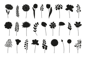 Wildflowers set, different flowers in black silhouettes. Meadow herbs and botanical wild plants for design projects. Vector illustration