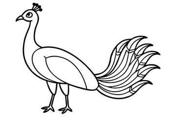 Minimalist Peacock Line Art
