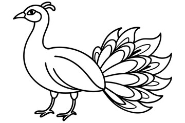 Minimalist Peacock Line Art