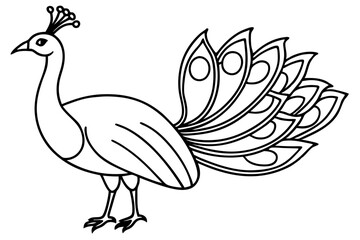 Minimalist Peacock Line Art