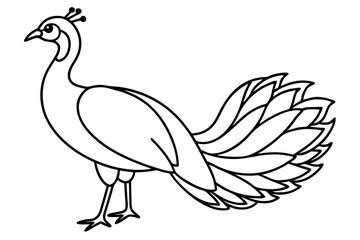 Minimalist Peacock Line Art