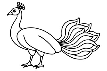 Minimalist Peacock Line Art