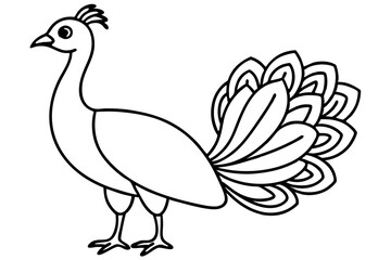 Minimalist Peacock Line Art