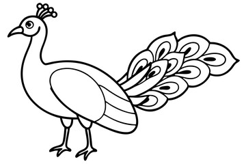 Minimalist Peacock Line Art