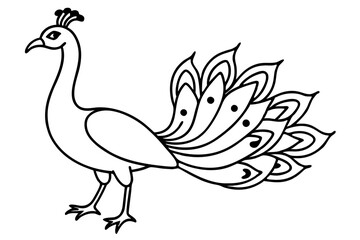 Minimalist Peacock Line Art