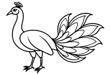 Minimalist Peacock Line Art