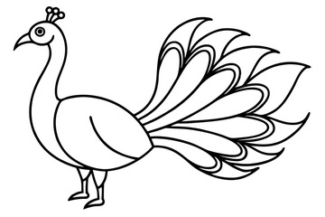 Minimalist Peacock Line Art
