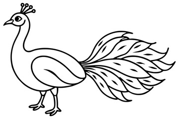 Minimalist Peacock Line Art