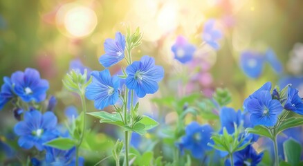 Blue wildflowers blooming in nature outdoors landscape bokeh soft warm light spring time. © Eyepain