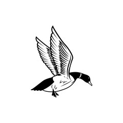illustration of wild duck, mallard. Duck hunting, ducking