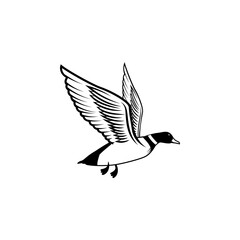 illustration of wild duck, mallard. Duck hunting, ducking