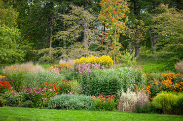 garden with flowers
