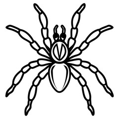 Minimalist Tarantula Vector