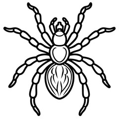 Minimalist Tarantula Vector
