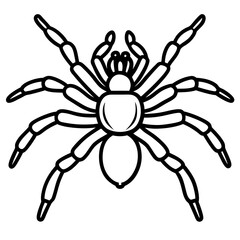 Minimalist Tarantula Vector