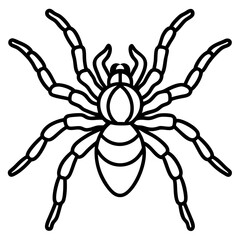 Minimalist Tarantula Vector