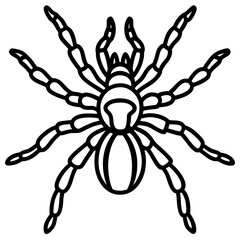 Minimalist Tarantula Vector