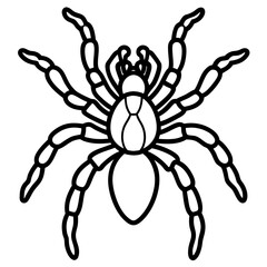 Minimalist Tarantula Vector