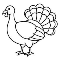 Minimalist Turkey Sketch
