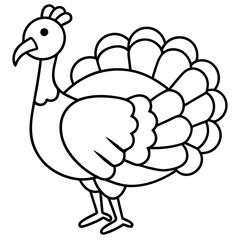 Minimalist Turkey Sketch