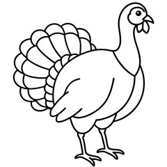 Minimalist Turkey Sketch