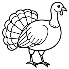 Minimalist Turkey Sketch