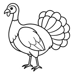 Minimalist Turkey Sketch