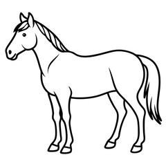 Modern Horse Line Sketch