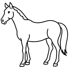 Modern Horse Line Sketch