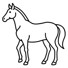 Modern Horse Line Sketch