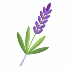 Obraz premium soft lavender sprig