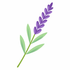 Obraz premium soft lavender sprig