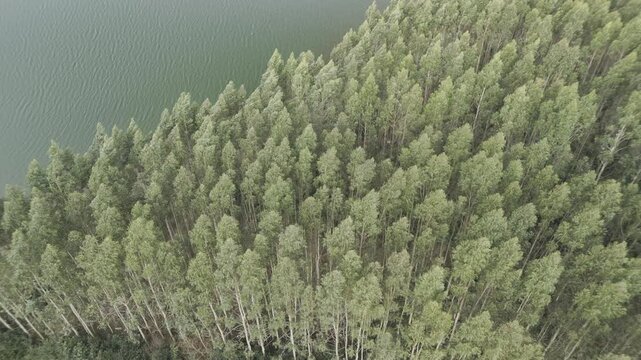 Belleza a&eacute;rea: vistas impresionantes de un embalse en Galicia